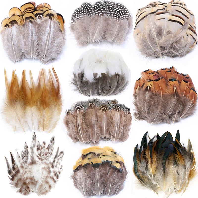 ANTUNIHOD 200pcs 10 Style Natural Feathers Assorted Mixed Feathers for Dream Catcher Crafts Decoration (10 Styles - 200 Pcs) - Image 1